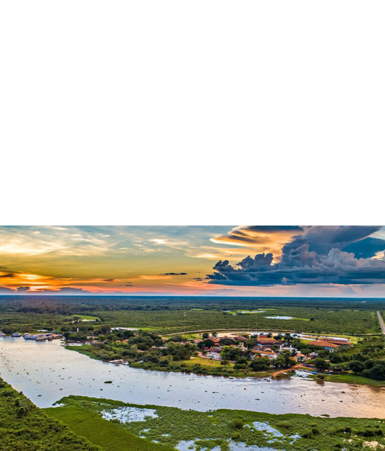 Entre em contato com nosso representante técnico de vendas em Mato Grosso do Sul