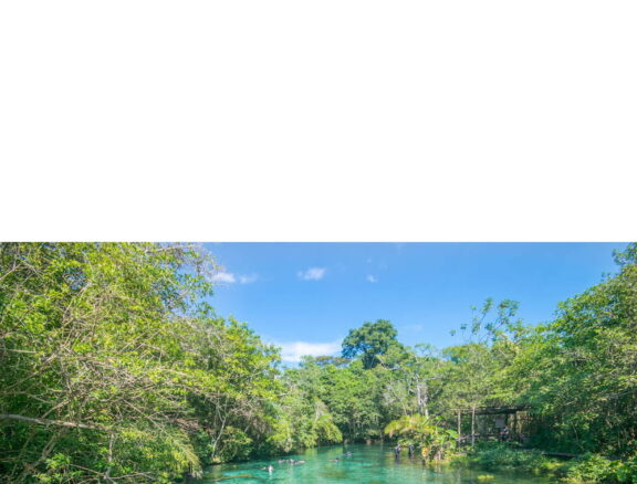 Entre em contato com nosso representante técnico de vendas em Mato Grosso do Sul