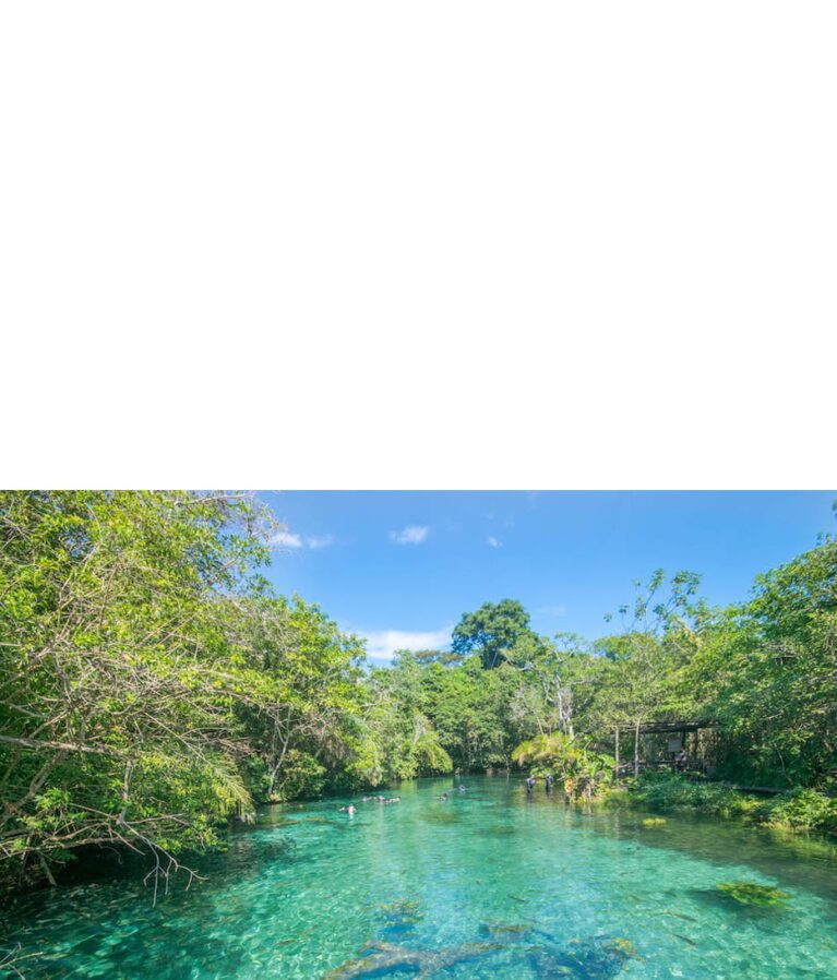 Entre em contato com nosso representante técnico de vendas em Mato Grosso do Sul