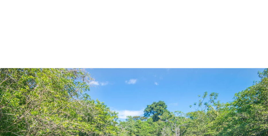 Entre em contato com nosso representante técnico de vendas em Mato Grosso do Sul