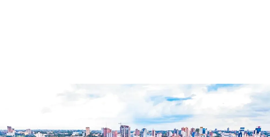 Entre em contato com nosso representante técnico de vendas no Paraguai
